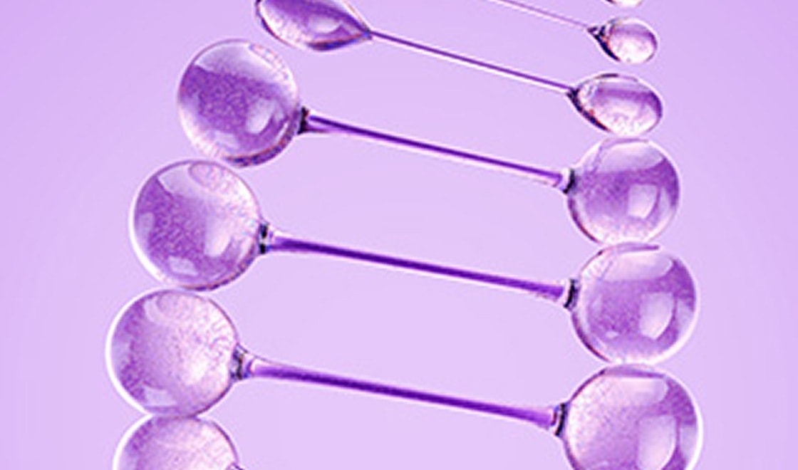 Elvive Collagen Lifter συστατικά