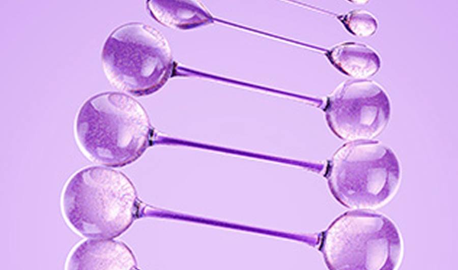Elvive Collagen Lifter συστατικά