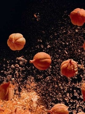 Hydra Energetic Article Banner