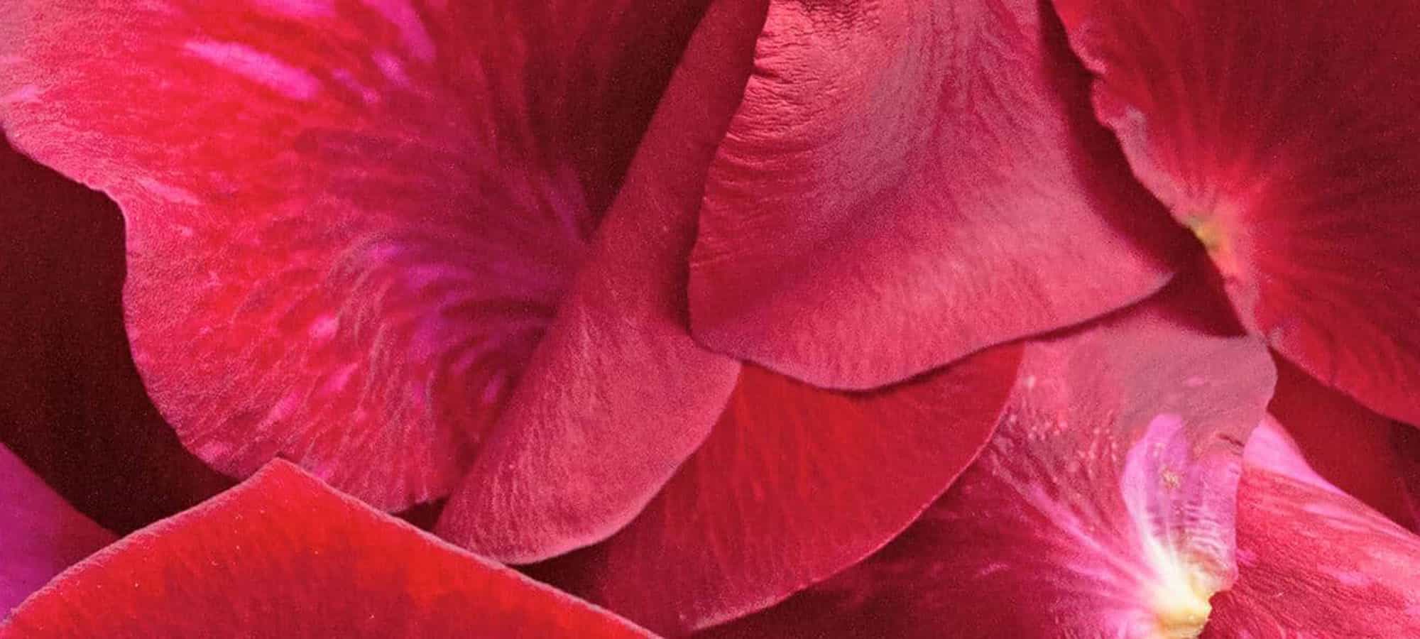 How To Choose The Best Cleanser For Your Skin Type Hero