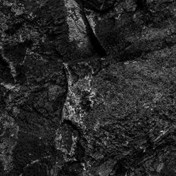 CARBON