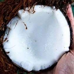 Coconut Ingredients