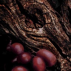 FRENCH VINE