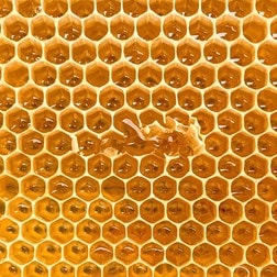 HONEY
