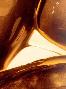 Jojoba oil image