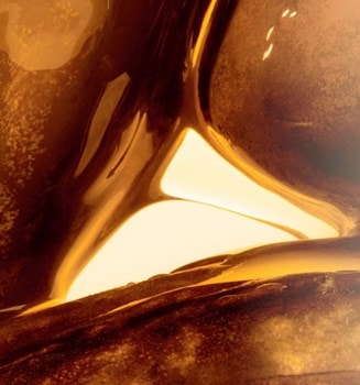 Jojoba oil image