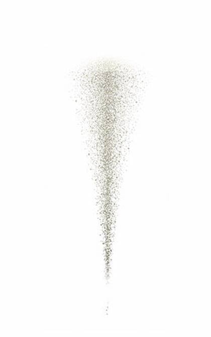 Elnett-2