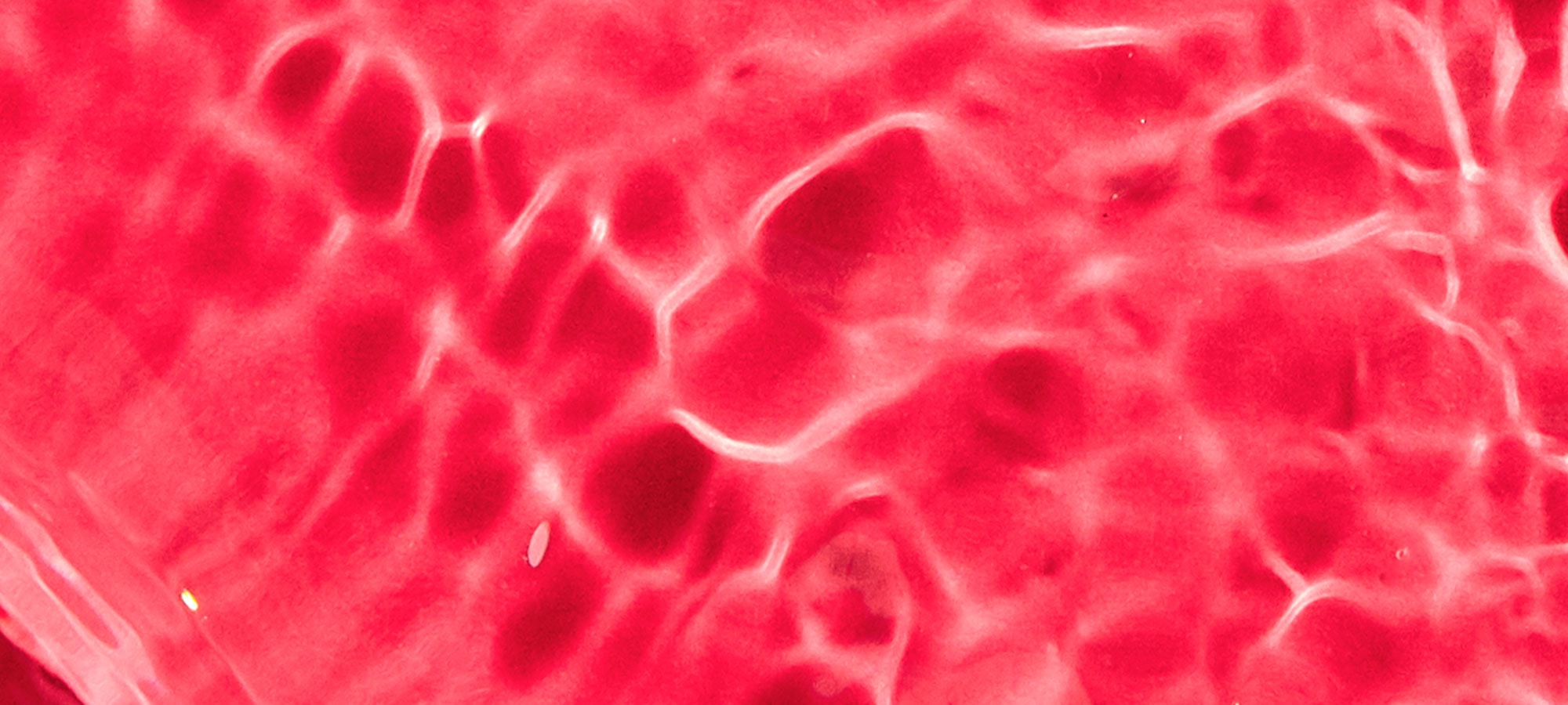 Glycolic Acid Product Push 2000x900